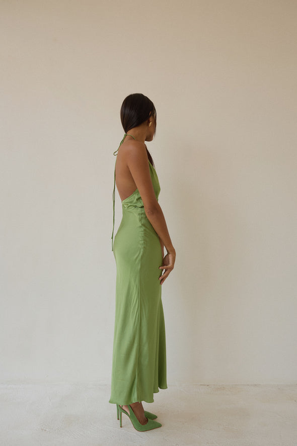 FAI DRESS cactus